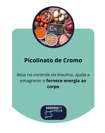 Captura-de-tela-2025-04-25-103427.png