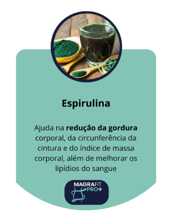 Captura-de-tela-2025-04-25-103432.png